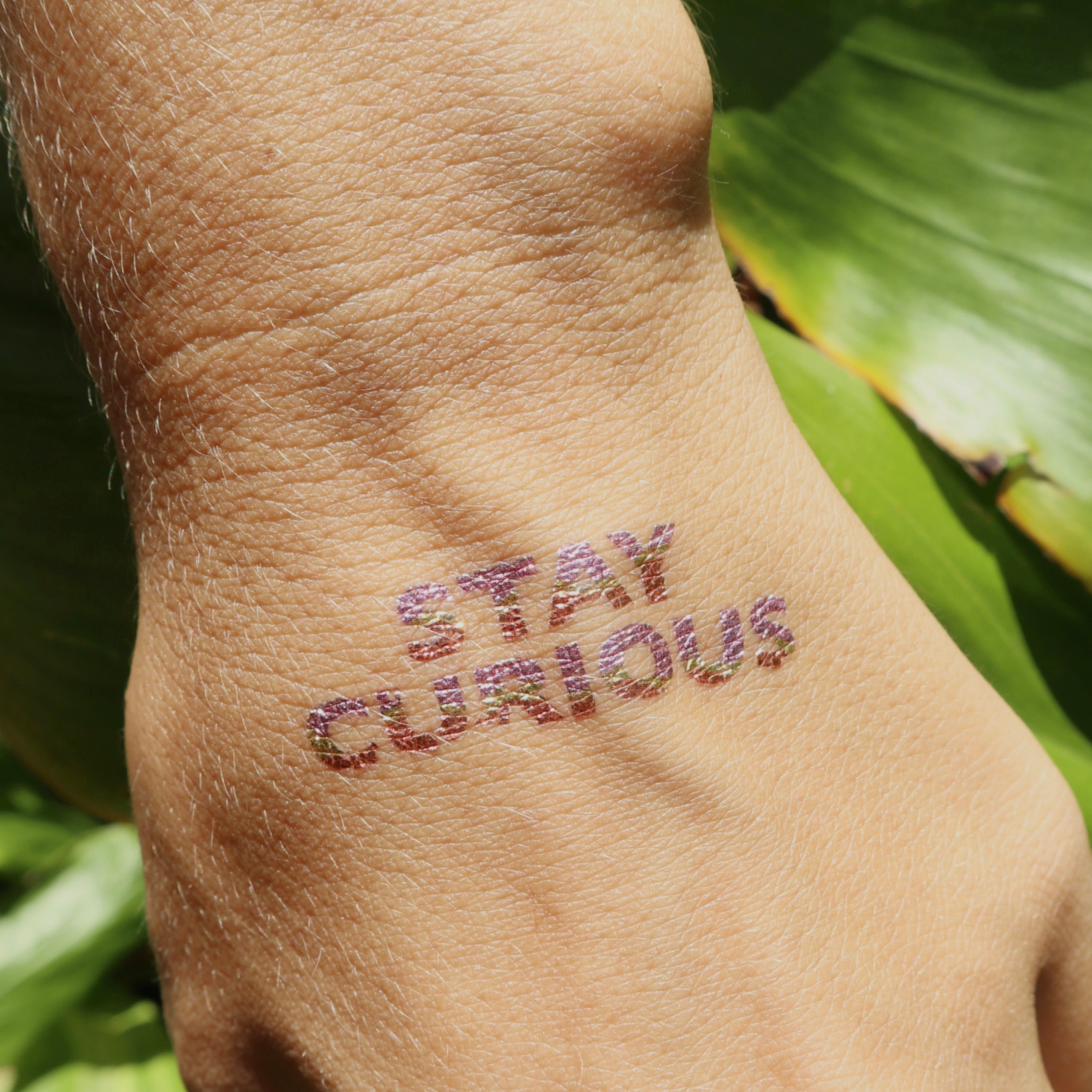 Travel Tattoo. Aventure. Blessed are the curious for they shall have  adventures | Adventure tattoo, Tattoos, Travel tattoo